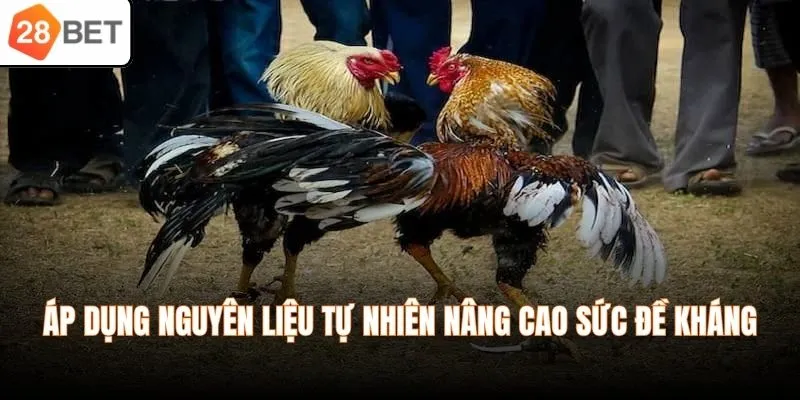 Áp dụng nguyên liệu tự nhiên nâng cao sức đề kháng