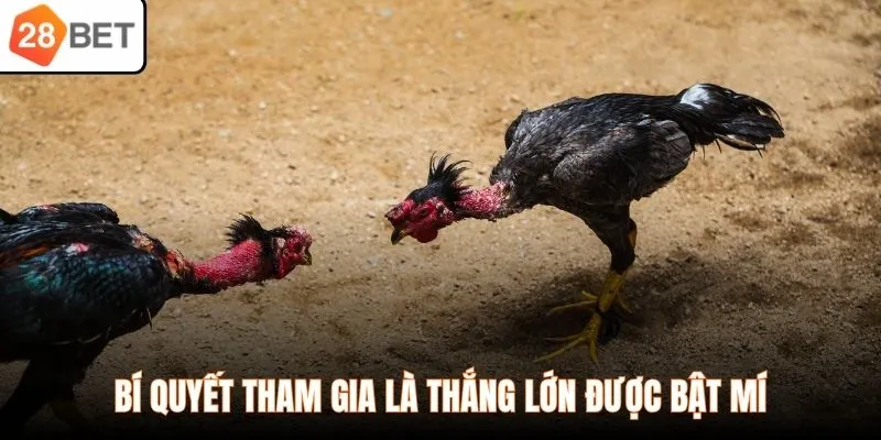 Bí quyết tham gia là thắng lớn được bật mí