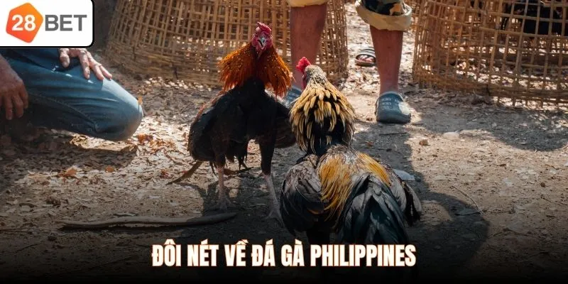 Đôi nét về Đá Gà Philippines