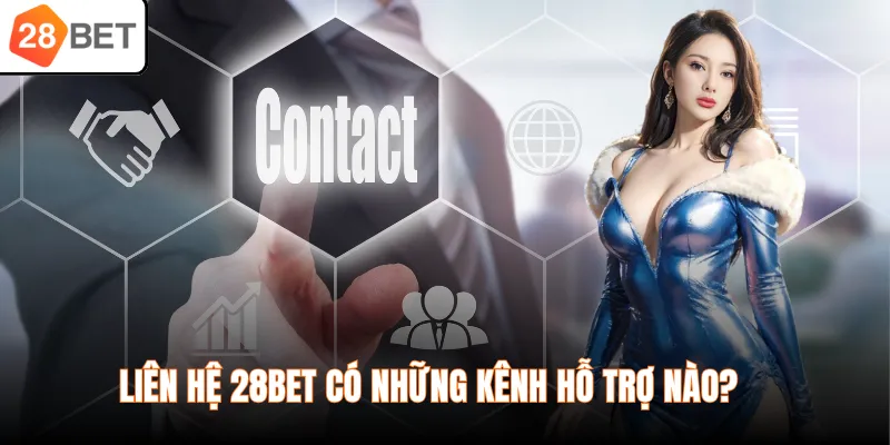 Liên hệ 28BET có những kênh hỗ trợ nào?