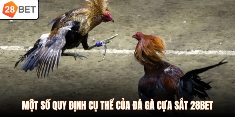 Một số quy định cụ thể của đá gà cựa sắt 28BET