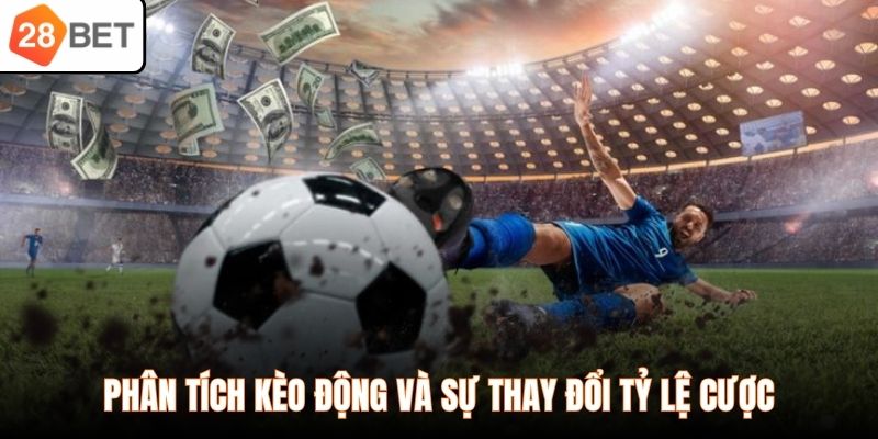 Phân tích kèo động và sự thay đổi tỷ lệ cược