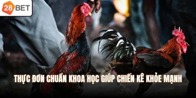 Thực đơn chuẩn khoa học giúp chiến kê khỏe mạnh